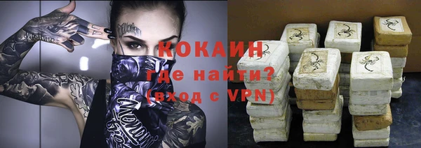 тгк Новодвинск