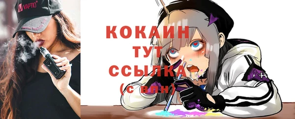 гидропоника Новозыбков