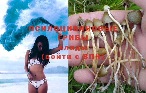 соль ск Болохово