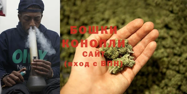 гидропоника Новозыбков