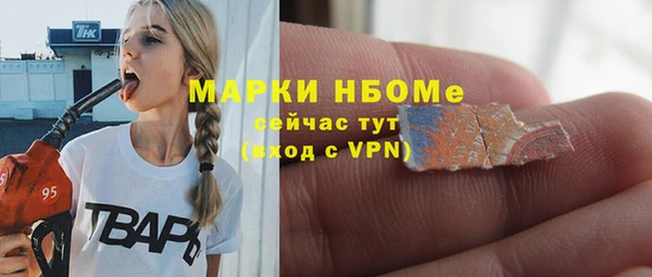 тгк Новодвинск