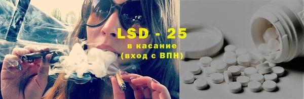 тгк Новодвинск