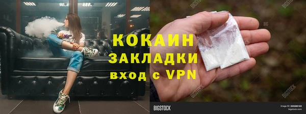 гидропоника Новозыбков