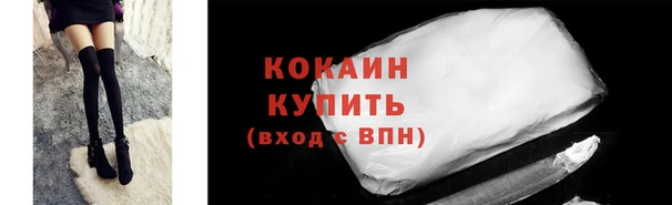 гидропоника Новозыбков