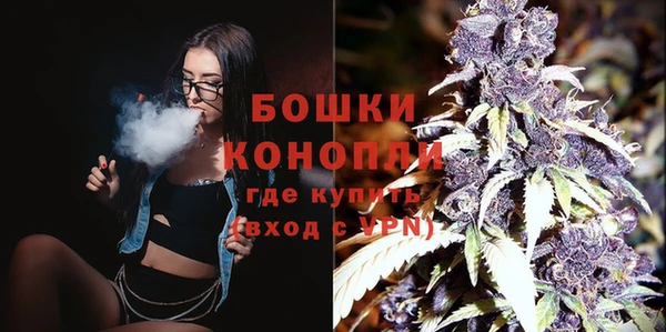 ПСИЛОЦИБИНОВЫЕ ГРИБЫ Болхов