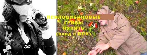 тгк Новодвинск