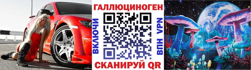 Псилоцибиновые грибы Psilocybe Губаха