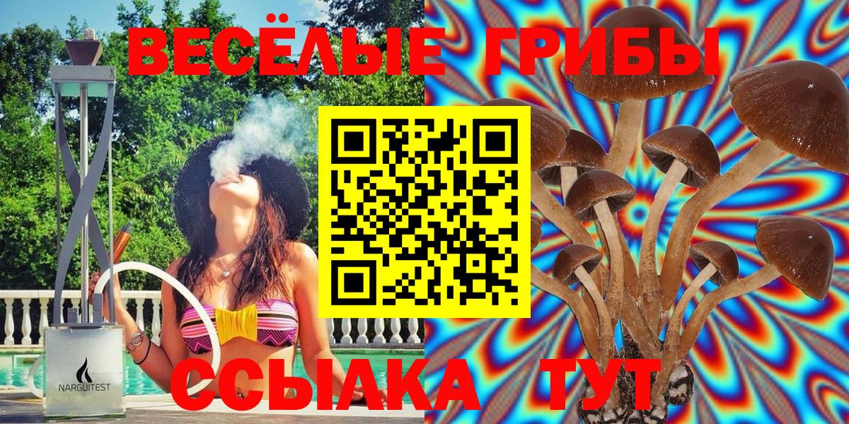 Псилоцибиновые грибы GOLDEN TEACHER  Галлюциногенные грибы мицелий  Губаха 