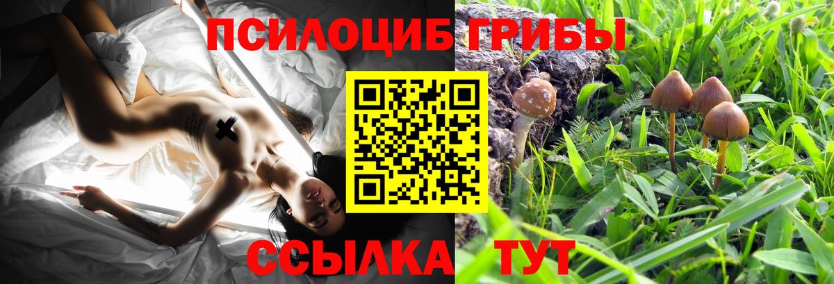 Губаха  Псилоцибиновые грибы Magic Shrooms  Вход с VPN 