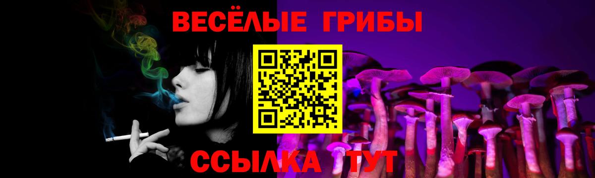 Галлюциногенные грибы Magic Shrooms Губаха