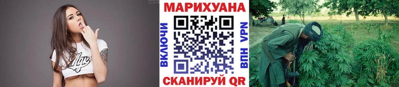 где купить наркотик  Губаха  Бошки Шишки конопля 